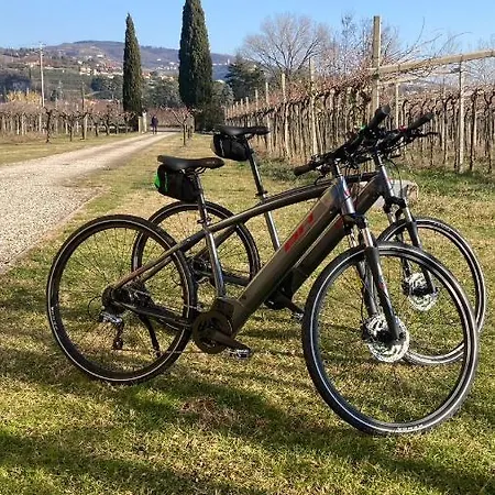 Bed & Breakfast Campagnon Valpolicella *