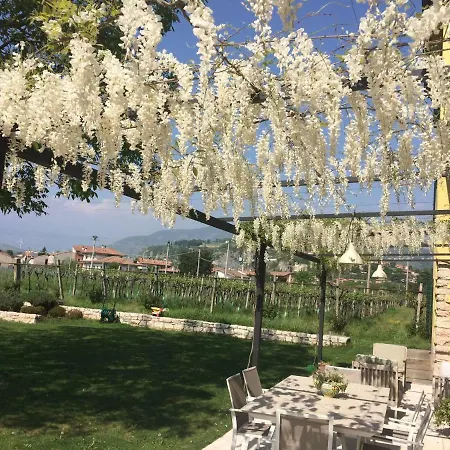 Campagnon Valpolicella * Sant'Ambrogio di Valpolicella