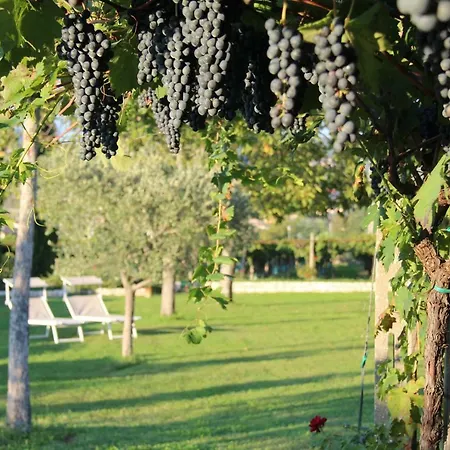 Campagnon Valpolicella فندق مبيت وإفطار SantʼAmbrogio di Valpolicella